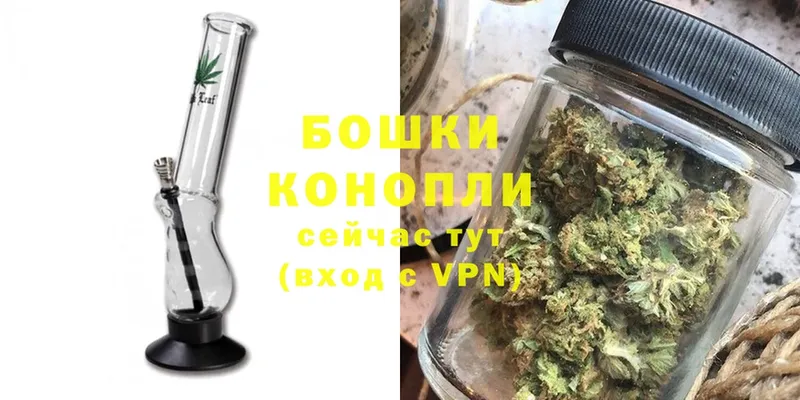 купить   Анапа  Бошки Шишки White Widow 